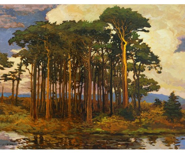 shoreline-pines.jpg